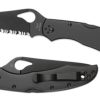 General Spyderco | Cara Cara® 2 Stainless Black Blade