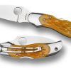 General Spyderco | Kopa™ Squash Bone